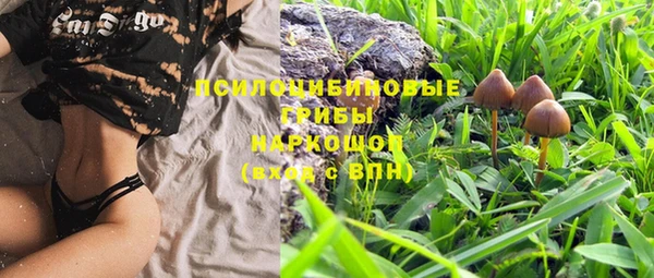 винт Балахна