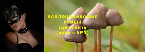 кокаин премиум Белокуриха