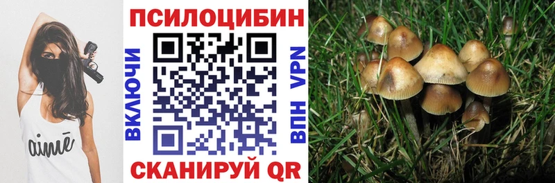 Псилоцибиновые грибы Psilocybe Вятские Поляны