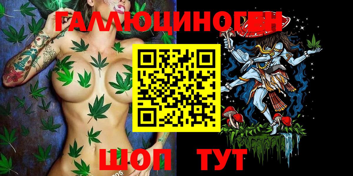 Псилоцибиновые грибы Psilocybe Вятские Поляны